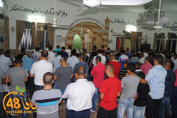 tarawee7 rebate (1).JPG